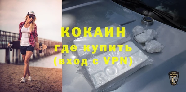 гашик Мегион