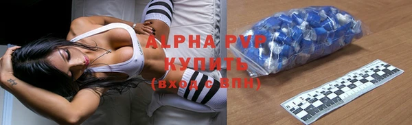 гашик Мегион