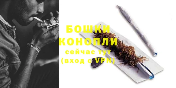 гашик Мегион