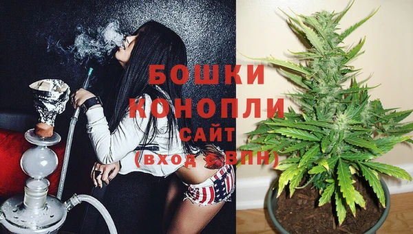 гашик Мегион