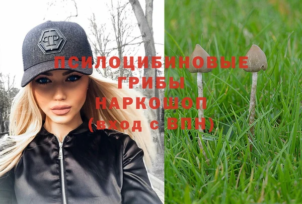 крисы Медногорск