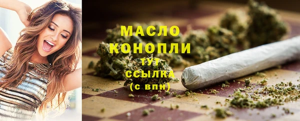гашик Мегион