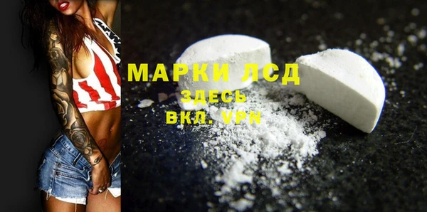 гашик Мегион