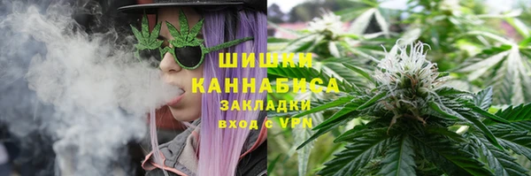 крисы Медногорск